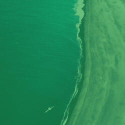 Serene Moods for Complete Relaxation