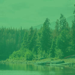 Entertaining Music for Complete Relaxation