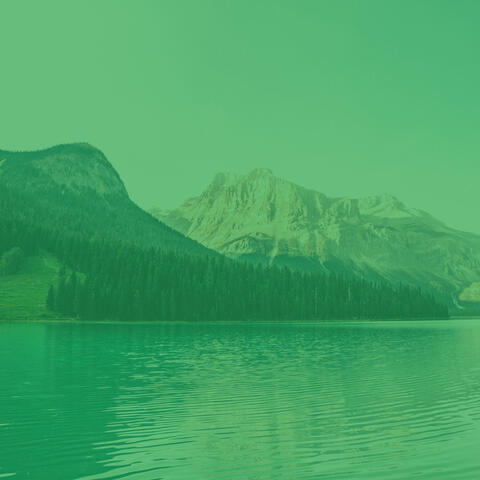 Cultivated Duduk and Cello - Ambiance for Meditation