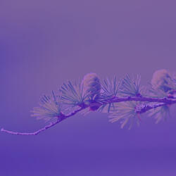 Stylish Morning Meditation