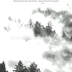 Exquisite Music for Quiet Tranquility