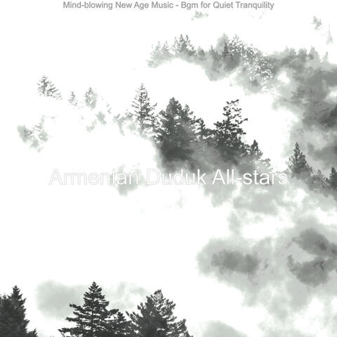 Mind-blowing New Age Music - Bgm for Quiet Tranquility