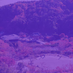 Phenomenal Duduk and Piano - Vibe for Deep Focus