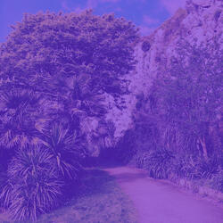 Retro Ambiance for Mental Health