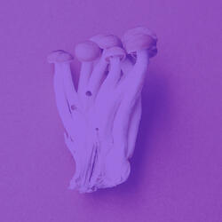 Inspired Moods for Quiet Tranquility