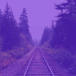 Cultivated Moods for Quiet Tranquility