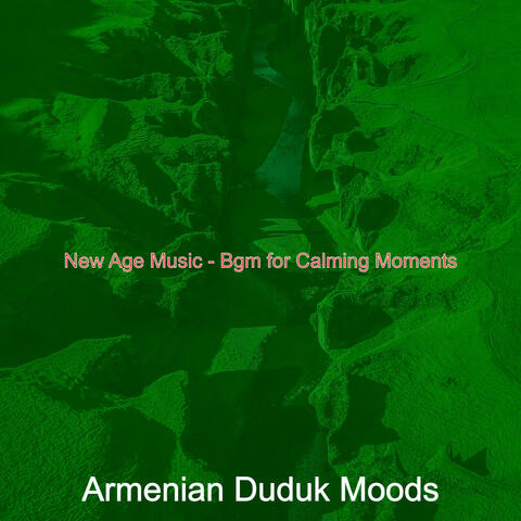 New Age Music - Bgm for Calming Moments