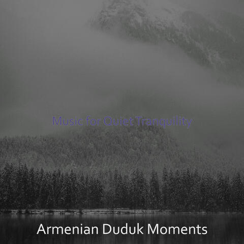 Music for Quiet Tranquility