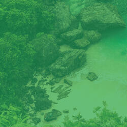 Terrific Inner Peace