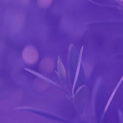 Phenomenal Ambiance for Positiev Affirmations