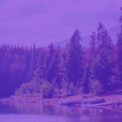 Fantastic Backdrops for Deep Focus