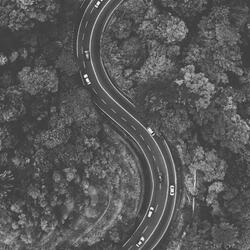 Easy Quiet Tranquility