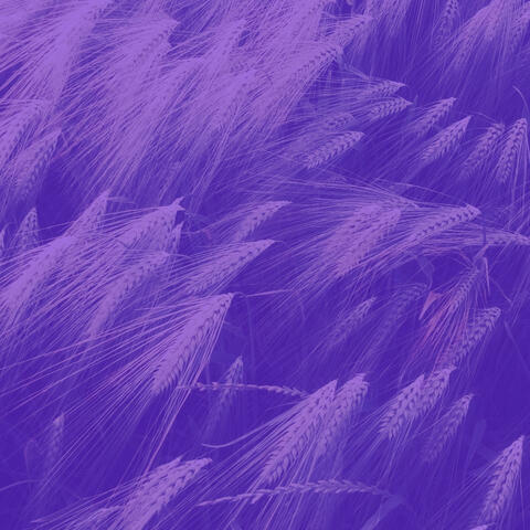 Vivacious New Age Music - Bgm for Mental Health