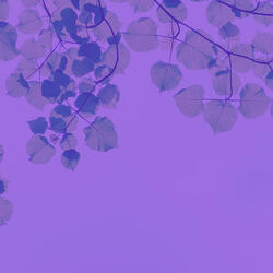 Groovy Ambiance for Mental Health