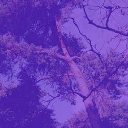 Smooth Music for Deep Focus