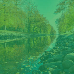 Wonderful Backdrops for Mental Health