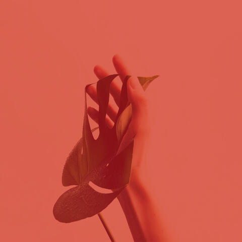 Music for Inner Peace - Romantic Duduk