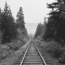 Serene Calming Moments