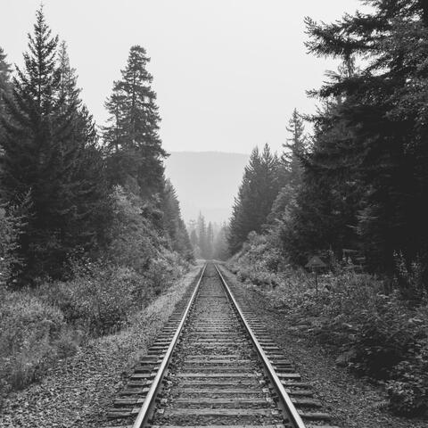 Vivacious Background for Quiet Tranquility