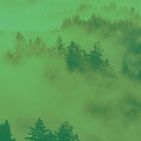 Astounding Duduk and Cello - Background for Positiev Affirmations