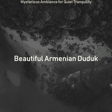 Mysterious Ambiance for Quiet Tranquility