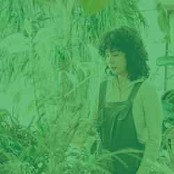 Sprightly Backdrops for Quiet Tranquility