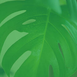 Retro Backdrops for Positiev Affirmations