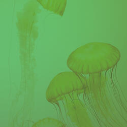 Luxurious Ambiance for Positiev Affirmations