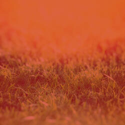 Background for Quiet Tranquility