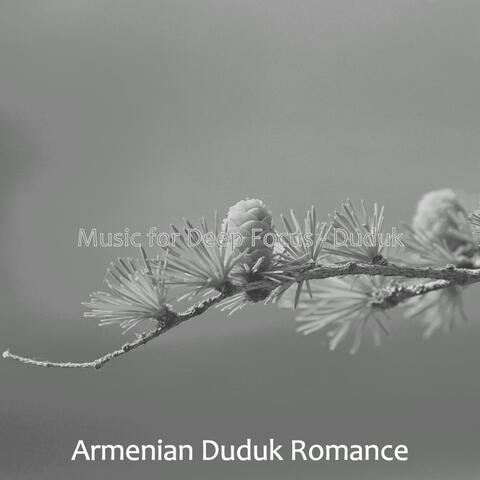 Music for Deep Focus - Duduk