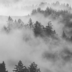 Stylish Music for Positiev Affirmations