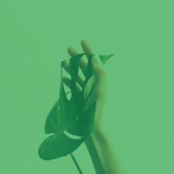 Fantastic Quiet Tranquility