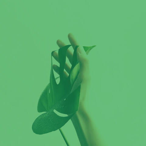 Echoes of Deep Focus