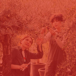 Relaxing Duduk and Piano - Vibe for Mental Health