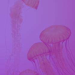 Warm Ambience for Mental Health