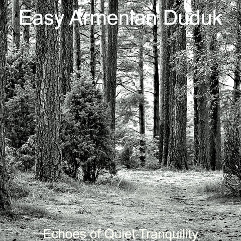 Echoes of Quiet Tranquility