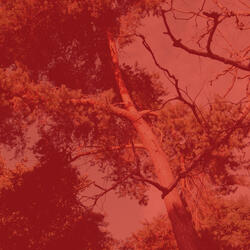 Background for Quiet Tranquility