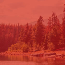 Brilliant Backdrops for Positiev Affirmations