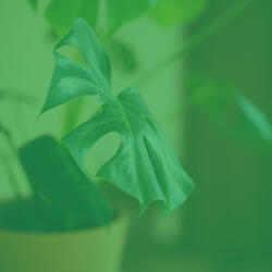 Astounding Moods for Positiev Affirmations