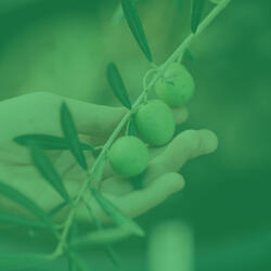 Chilled Music for Sounds