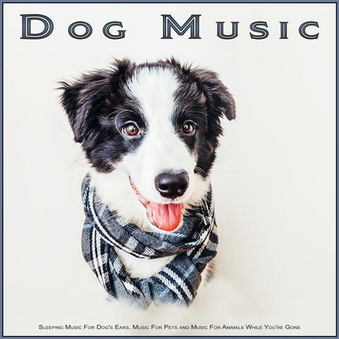 Dog Music & Music For Dog's Ears & Sleeping Music For Dogs | iHeart