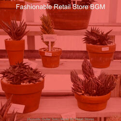 Hypnotic Harps and Guitars - Vibe for Shops