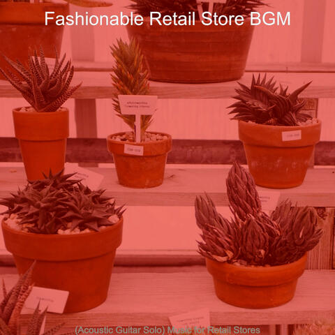 (Acoustic Guitar Solo) Music for Retail Stores
