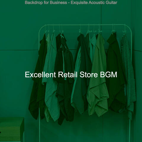 Backdrop for Business - Exquisite Acoustic Guitar