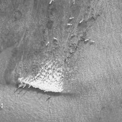 Chilled Backdrops for Beaches
