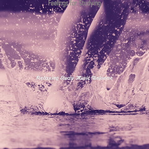 Feelings for Studying