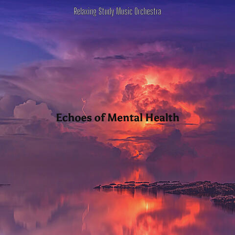 Echoes of Mental Health