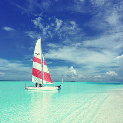Divine Moods for Summertime