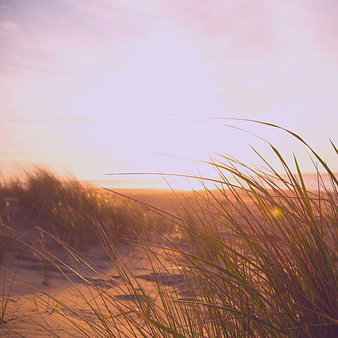 Son Montuno - Music for Summertime