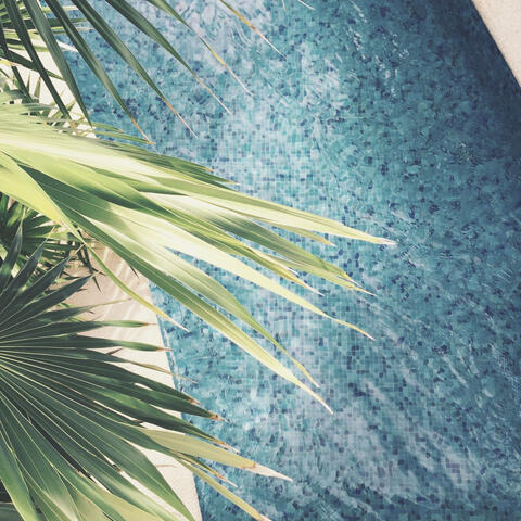 Smooth Latin Trumpet - Background for Beaches
